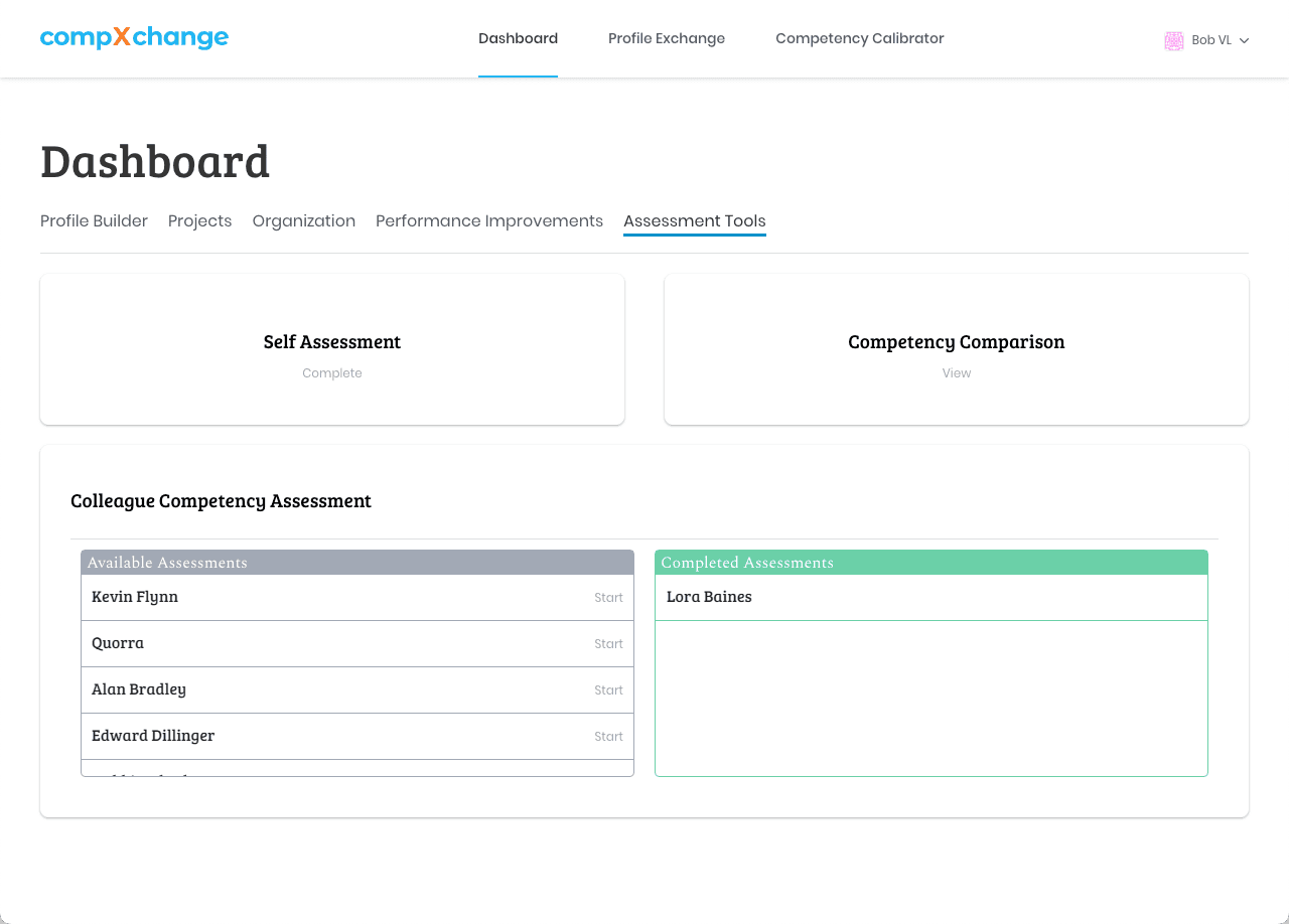 CSW Assessment Tools screenshot