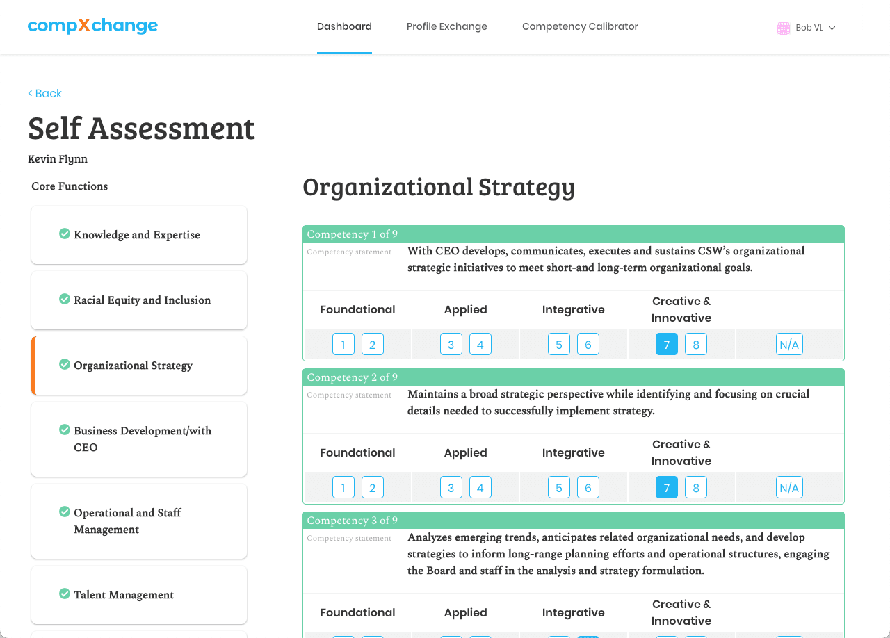 CSW Self Assessment screenshot